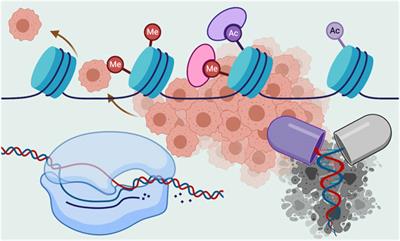 Frontiers | Editorial: Epigenetic And Transcriptional Dysregulations In ...